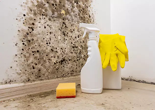Your Reliable Restoration Company in Grayson, GA