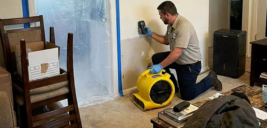 Carpet Water Damage Repair Grayson
