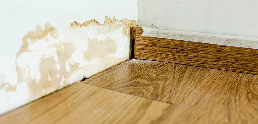 Professional Fix Water Damaged Wood Services in Grayson, GA