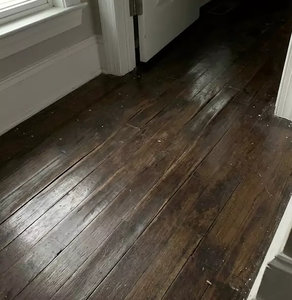Why Grayson Homeowners Trust Grayson Restoration Pro to Fix Water Damaged Wood?