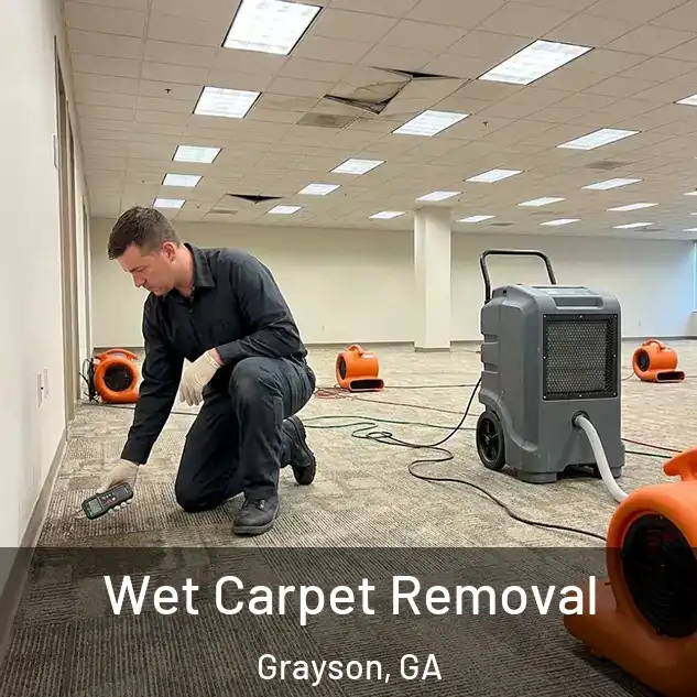  Wet Carpet Removal Grayson, GA